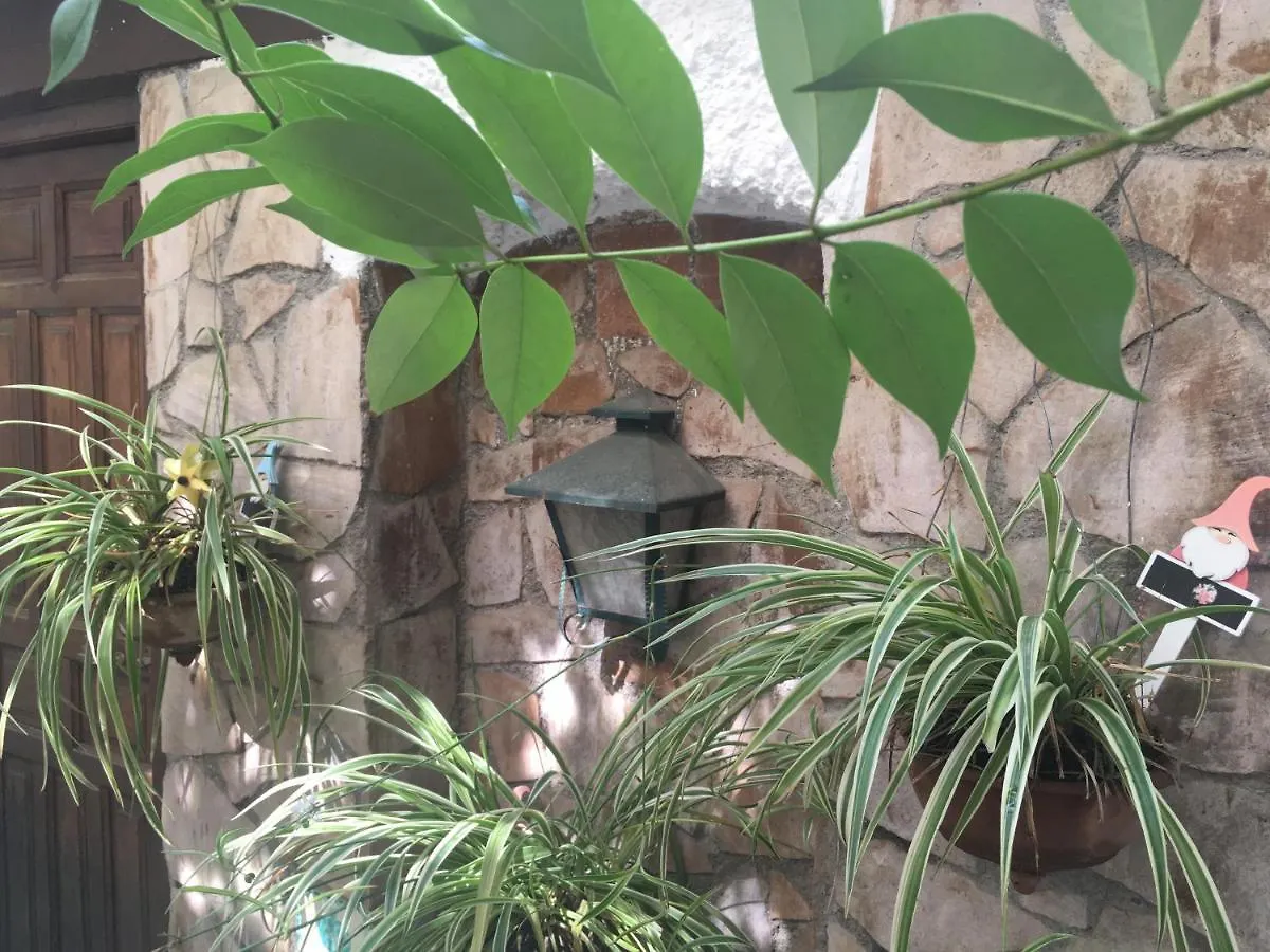 Patio Granada Apartment Spain