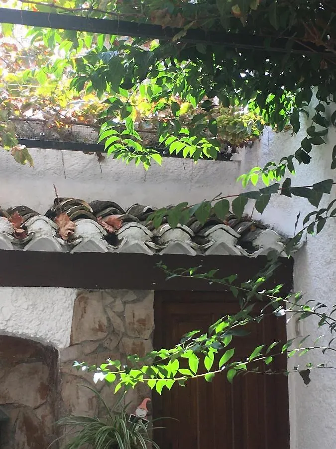 Patio Granada Daire İspanya