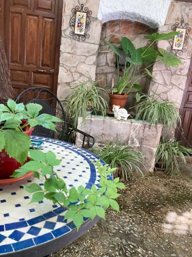 Patio Granada Daire İspanya